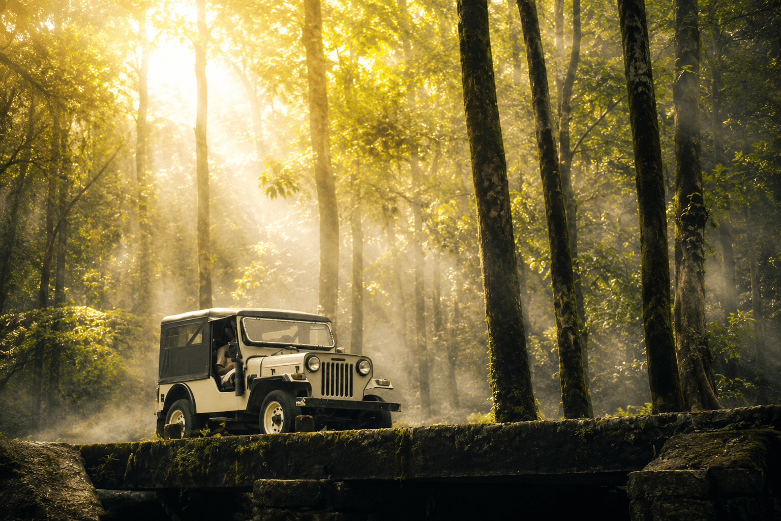 Coorg Group Trip
